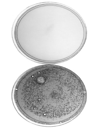 Pourite Anti-Bubble Additive Plate